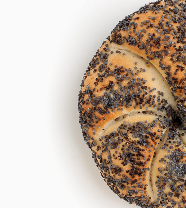Poppy Bun - Image 4